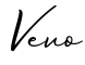 单词Vevo书写