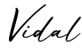 单词Vidal书写