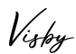 单词Visby书写