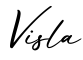 单词Visla书写