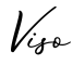 单词Viso书写