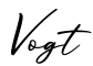 单词Vogt书写