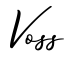 单词Voss书写