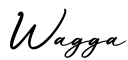 单词Wagga书写