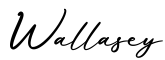 单词Wallasey书写