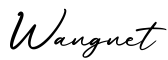 单词Wangnet书写