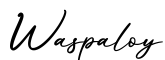 单词Waspaloy书写