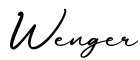 单词Wenger书写