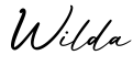 单词Wilda书写
