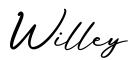 单词Willey书写
