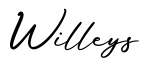单词Willeys书写