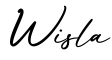 单词Wisla书写