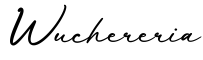单词Wuchereria书写
