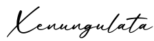 单词Xenungulata书写