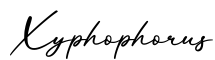 单词Xyphophorus书写
