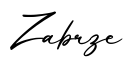 单词Zabrze书写