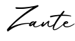 单词Zante书写