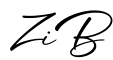 单词ZiB书写