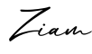 单词Ziam书写