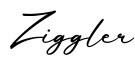单词Ziggler书写