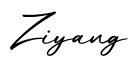 单词Ziyang书写