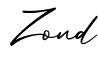 单词Zond书写