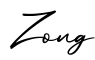 单词Zong书写