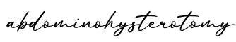 单词abdominohysterotomy书写