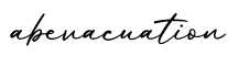 单词abevacuation书写