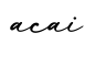 单词acai书写