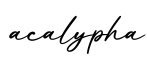 单词acalypha书写