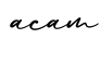 单词acam书写