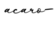 单词acaro-书写