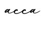 单词acca书写