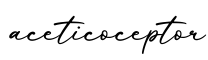 单词aceticoceptor书写