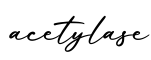 单词acetylase书写
