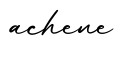 单词achene书写