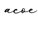 单词acoe书写