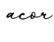 单词acor书写
