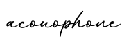 单词acouophone书写