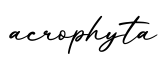 单词acrophyta书写