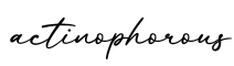 单词actinophorous书写