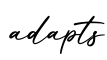单词adapts书写