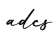 单词adcs书写