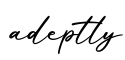 单词adeptly书写
