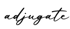 单词adjugate书写