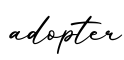 单词adopter书写