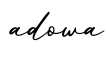 单词adowa书写