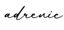 单词adrenic书写