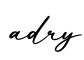 单词adry书写